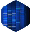 Molecular DNA